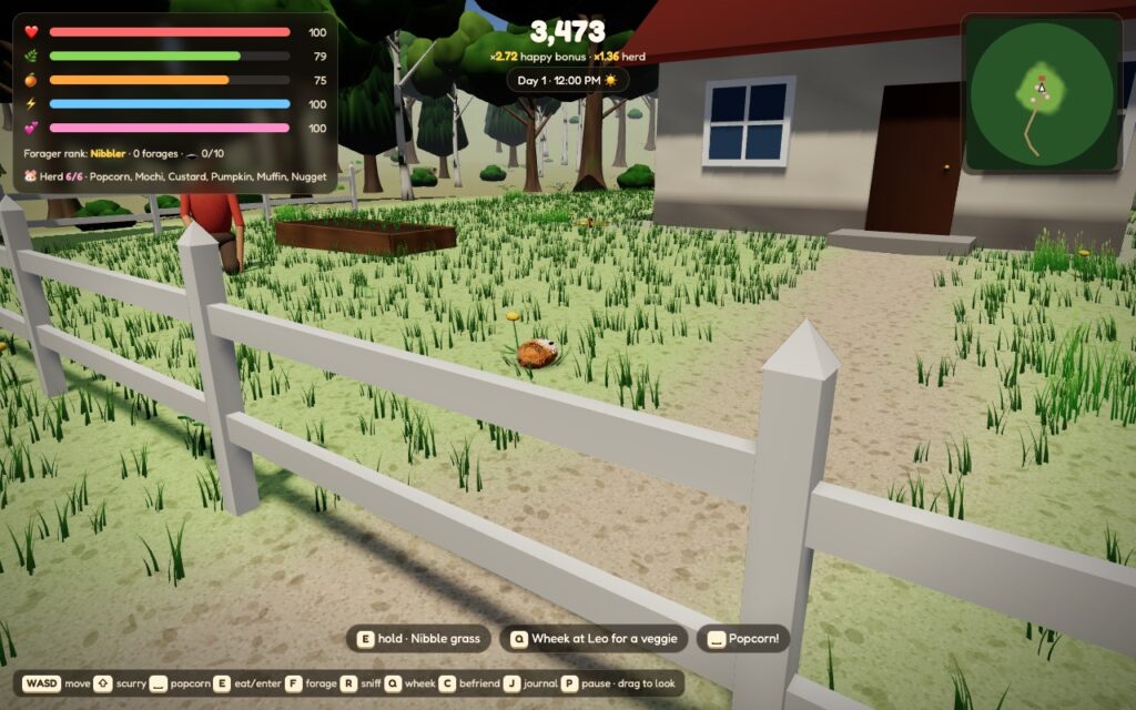 A guinea pig by the picket fence in front of the house, with a raised garden bed and a gardener