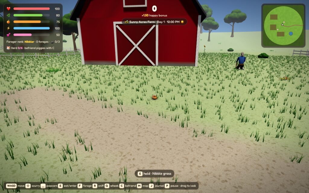 A guinea pig in the grass in front of the big red barn at Sunny Acres Farm, with the farmer kneeling nearby