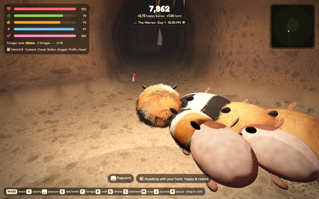 A herd of guinea pigs huddled in an earthy tunnel of the warren under the woods