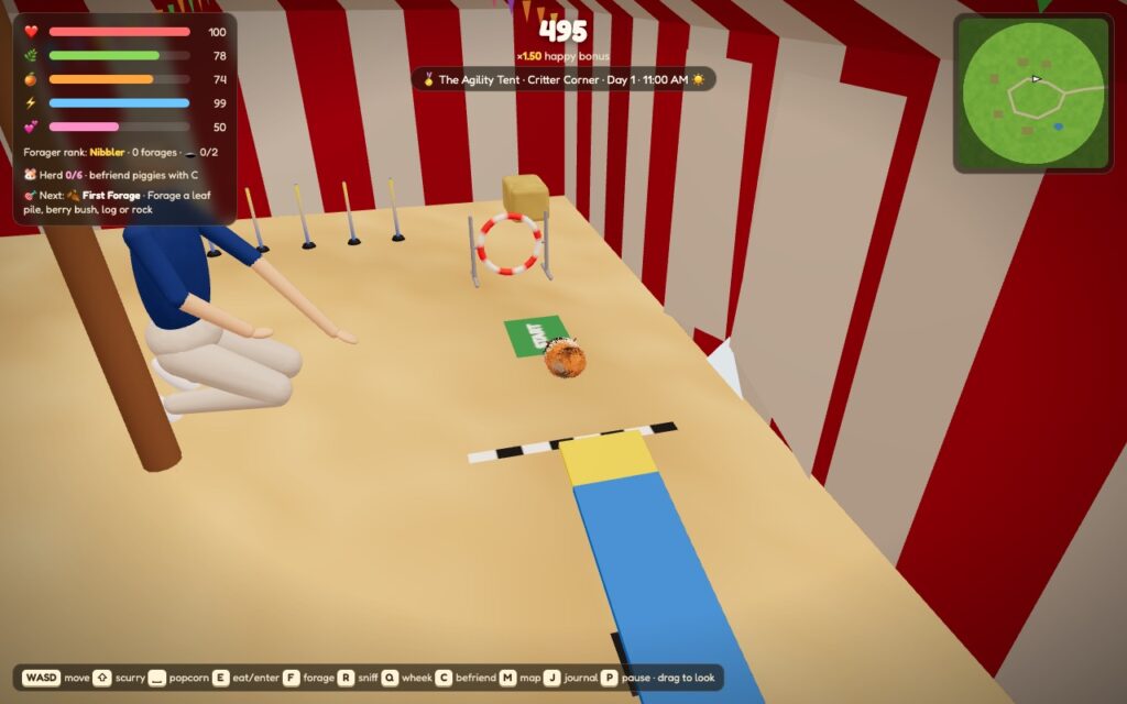 Inside the striped agility tent: a guinea pig on the green start mat, with a hoop, weave poles, an A-frame and a kneeling judge by the centre pole