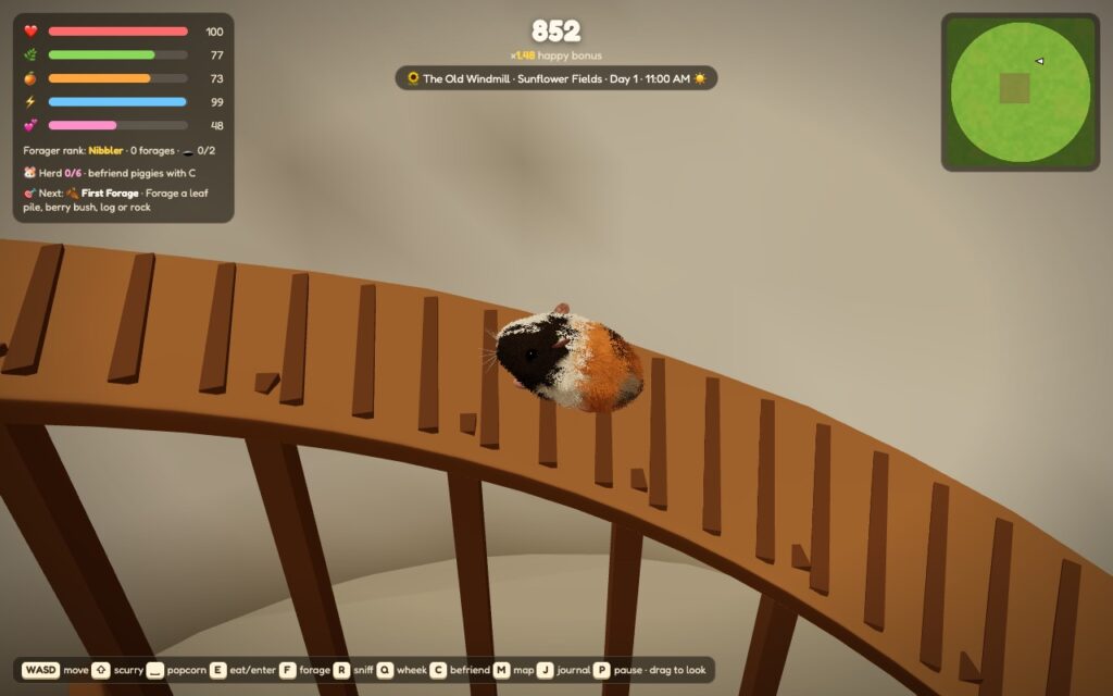 Inside the old windmill: a guinea pig climbing the ramp of planks that winds up the wall to the loft
