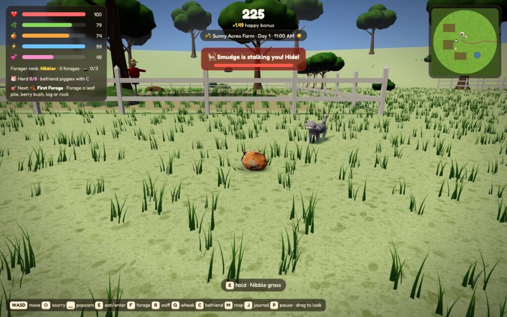 Smudge, a grey barn cat, creeping through the grass on the farm toward a guinea pig, with the 'Smudge is stalking you! Hide!' meter showing