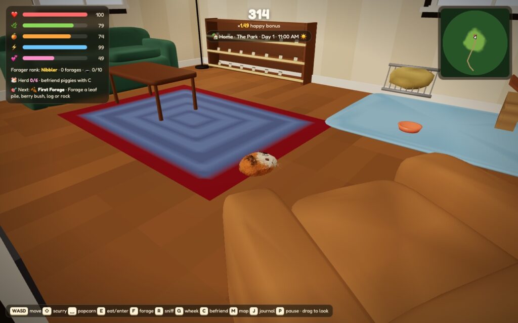 Inside the park house: a guinea pig on the rug, the sofa and coffee table, a fleece corner with a bowl and hay rack, and the trophy shelf on the back wall